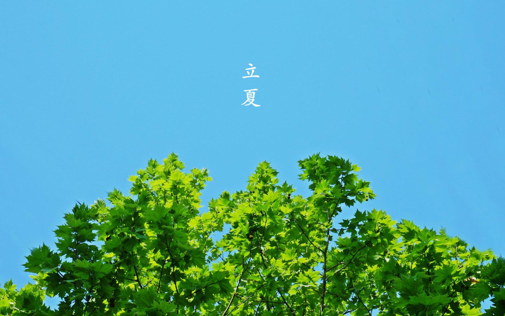 二十四節(jié)氣之立夏|萬物始茂,忽而立夏氣脹軸安全夾頭糾偏系統(tǒng)廠家